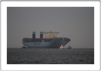 MAJESTIC MAERSK       9619919    OWJD2 